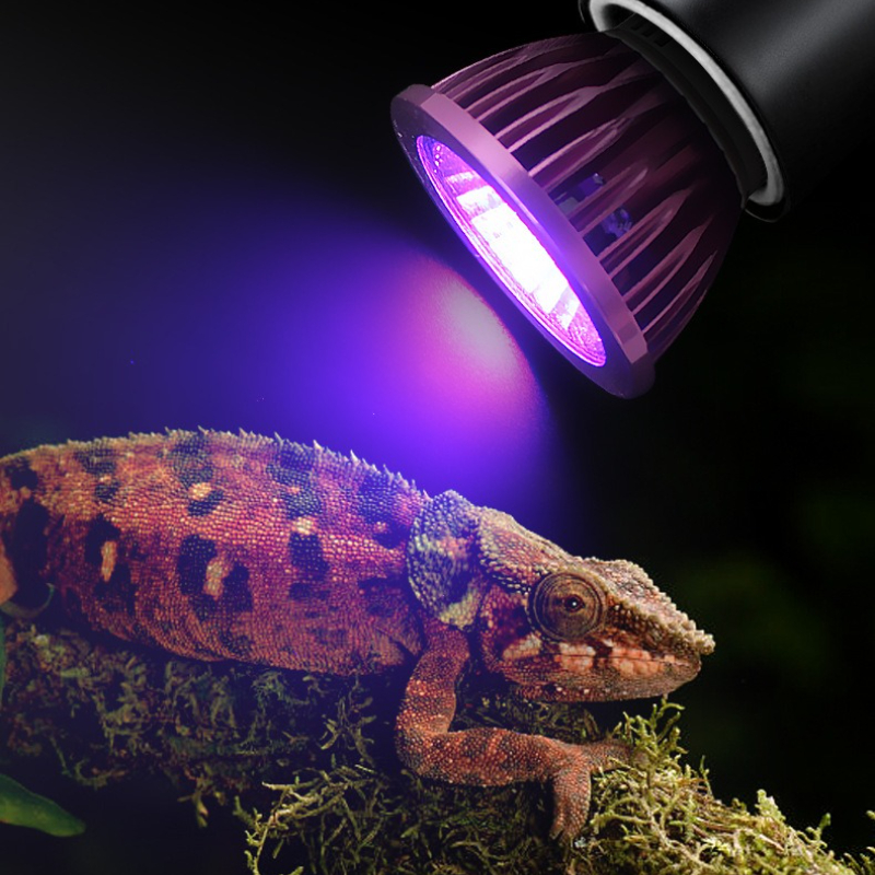 Gecko Lighting & Decor - NOMOY Moonlight LED Night Light for