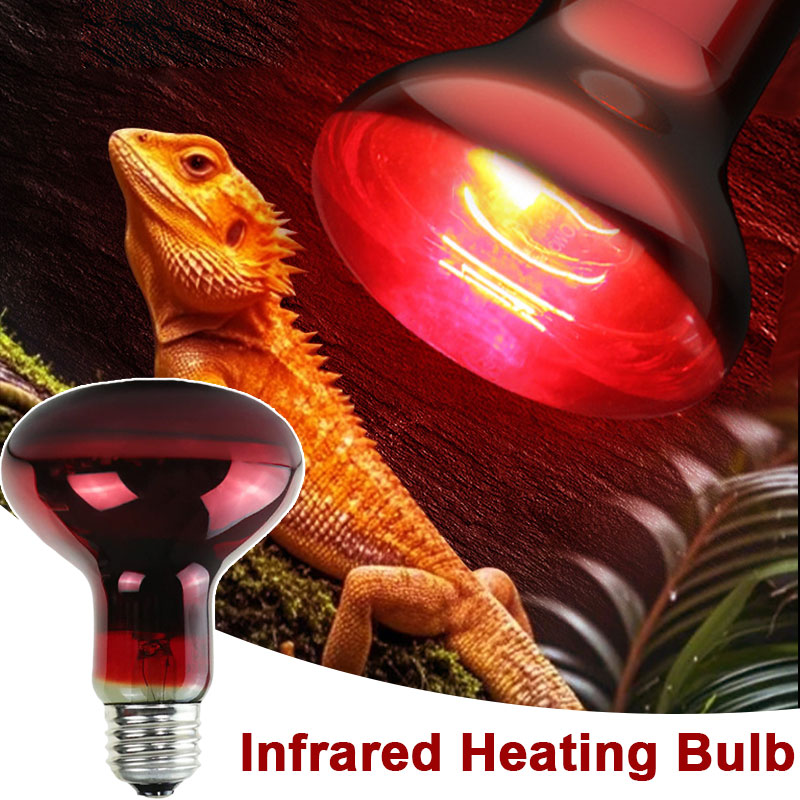 Reptile Heat Lamp 100V/220V In - Gecko Lighting & Decor บทวิจารณ์และราคา