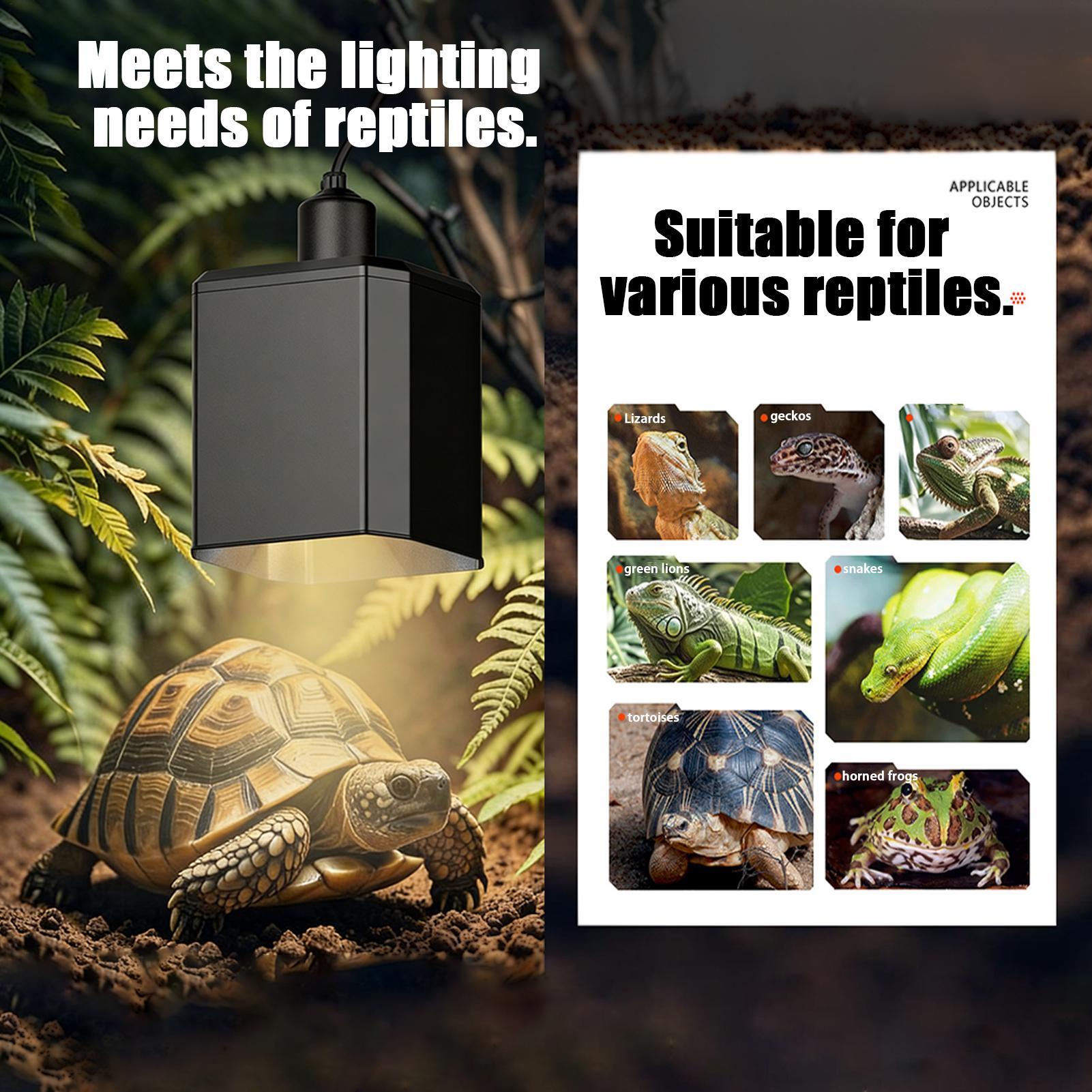 Reptile Heat Lamp Cover Reptil - Gecko Lighting & Decor บทวิจารณ์และราคา