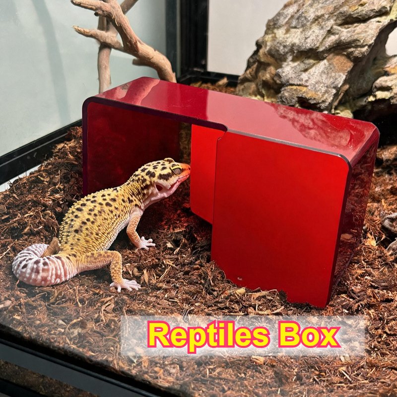 Red Acrylic Reptile Box Habita - Gecko Lighting & Decor บทวิจารณ์และราคา