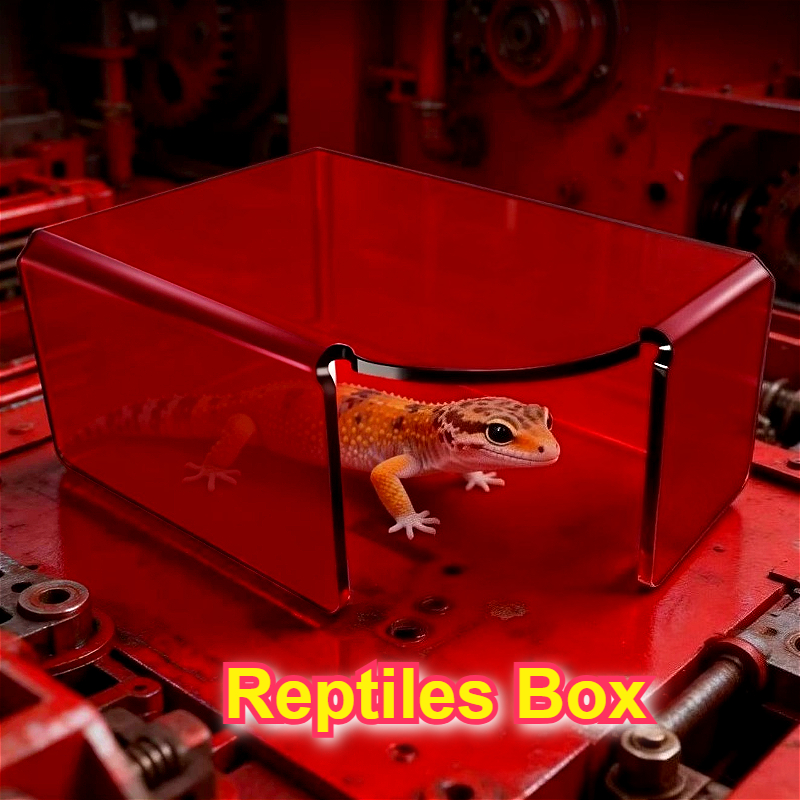 Red Acrylic Reptile Box Habita - Gecko Lighting & Decor บทวิจารณ์และราคา