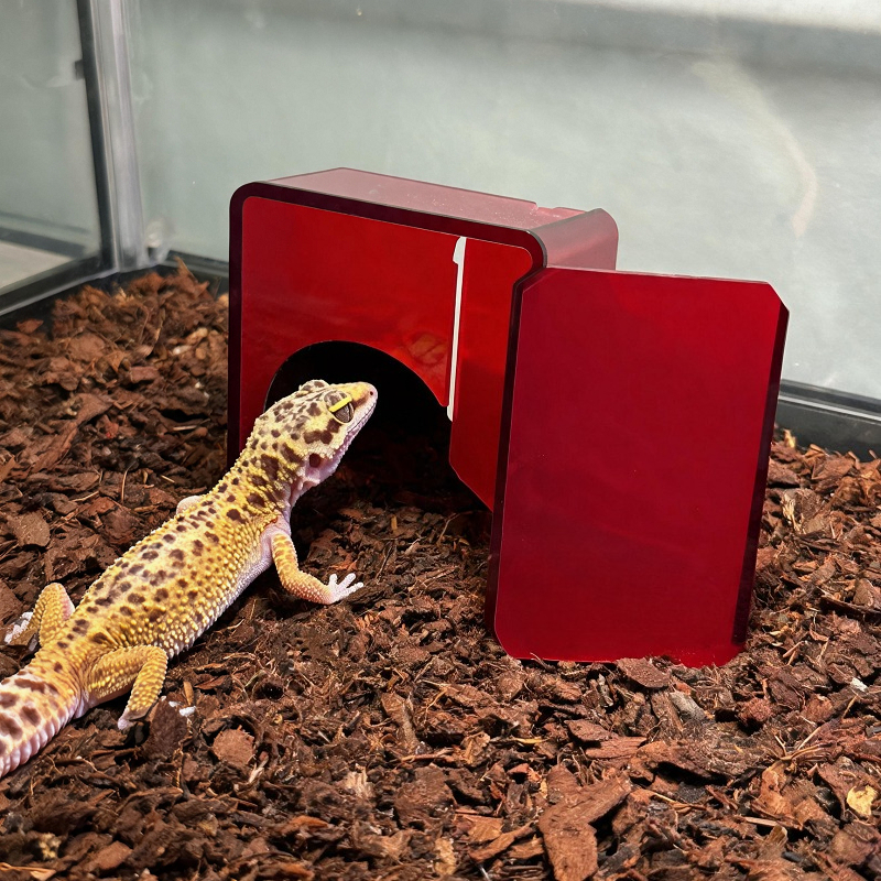 Red Acrylic Reptile Box Habita - Gecko Lighting & Decor บทวิจารณ์และราคา