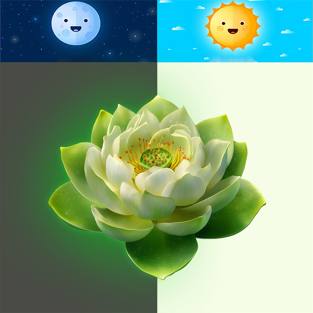 Glow in the Dark Lotus Toilet  - Lighting Decor Rentals บทวิจารณ์และราคา