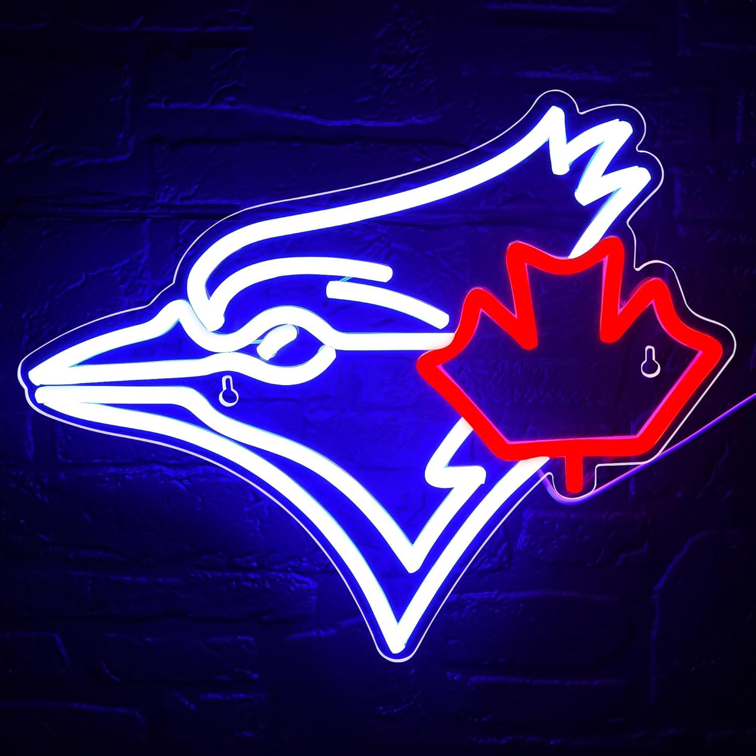 USB Dimmable Blue Jay with Map - Jay Lighting Decor บทวิจารณ์และราคา