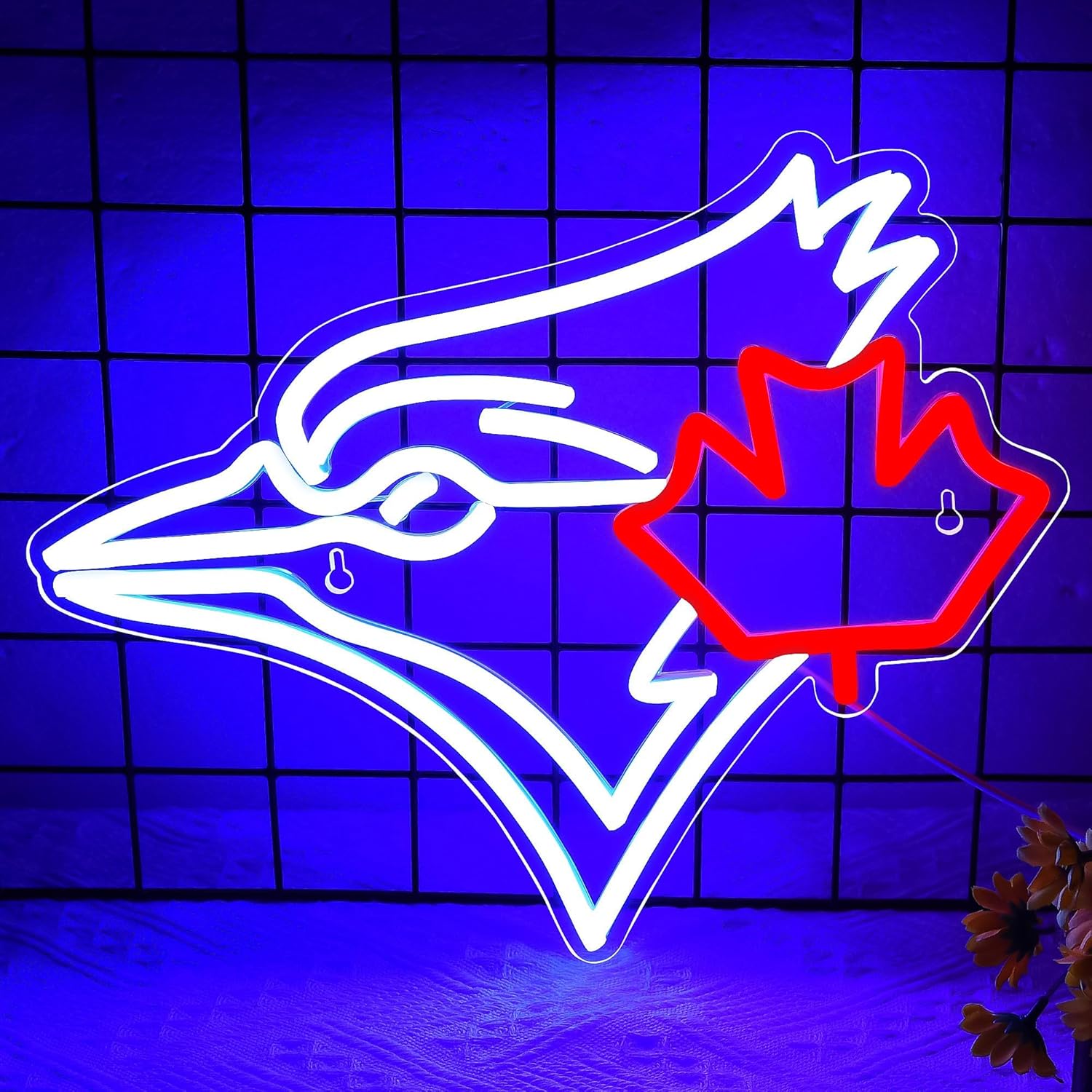 USB Dimmable Blue Jay with Map - Jay Lighting Decor บทวิจารณ์และราคา
