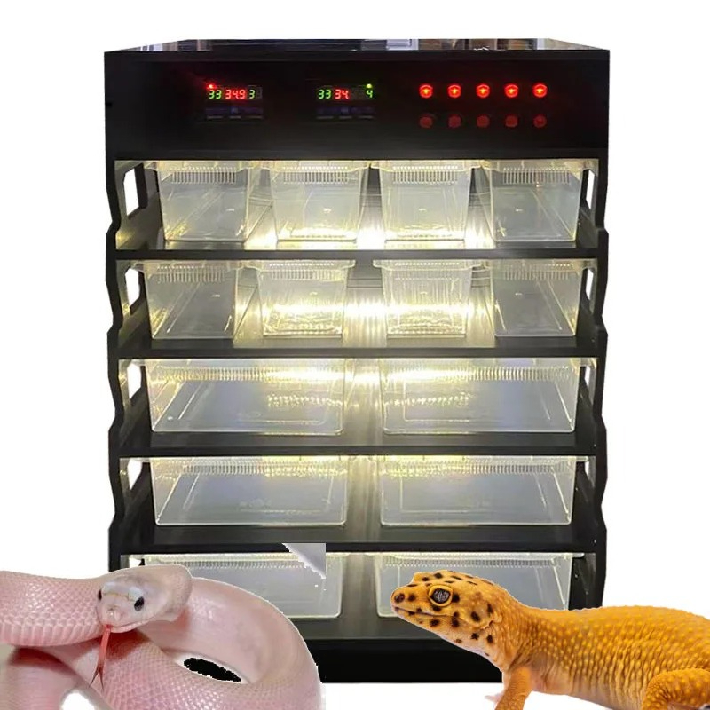 Intelligent PVC Reptile Furnit - Gecko Lighting & Decor บทวิจารณ์และราคา