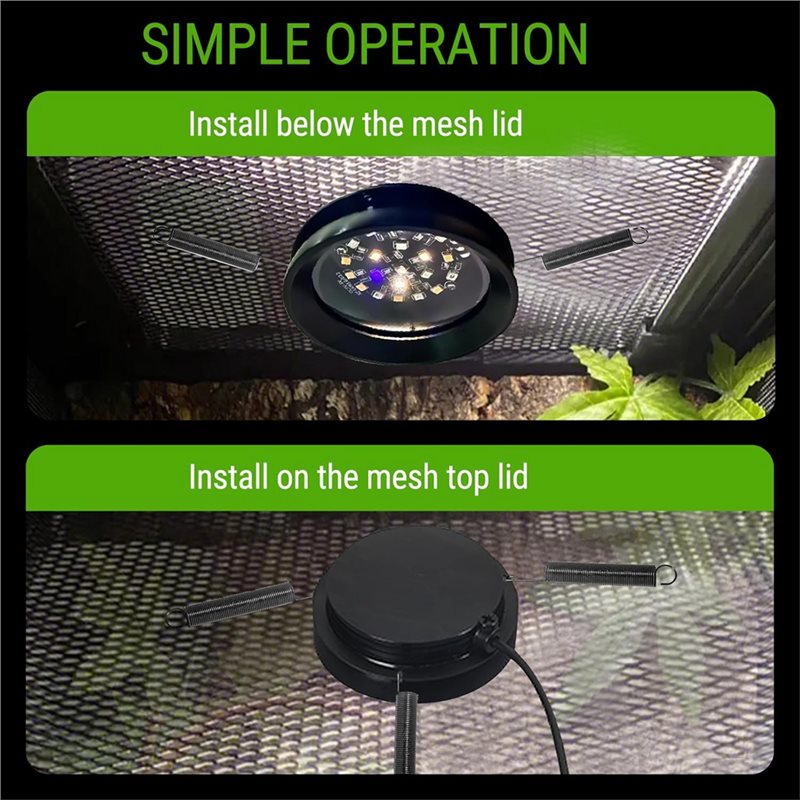 【ORNAMENT】Full Spetrum LED UVA - Gecko Lighting & Decor บทวิจารณ์และราคา
