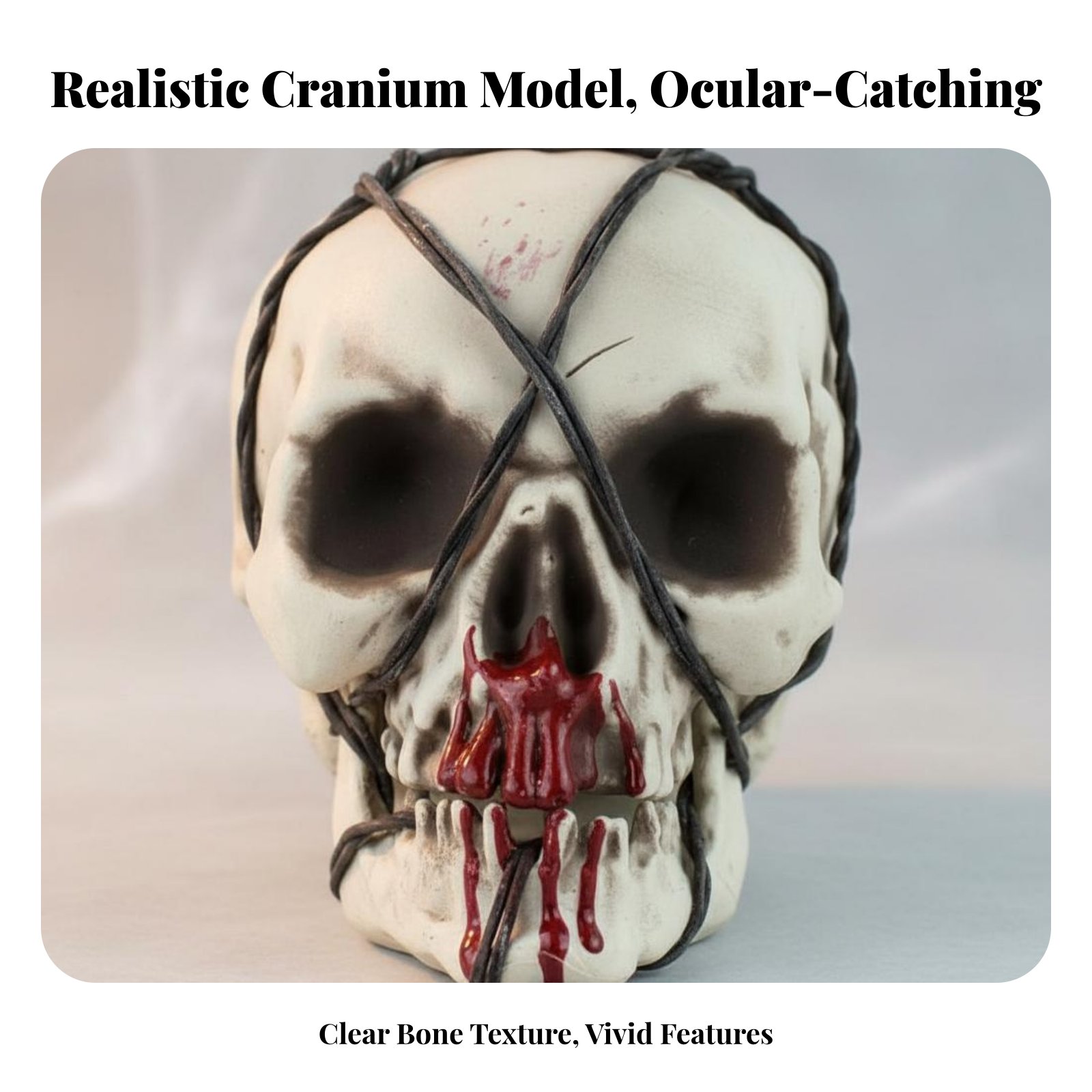 Realistic Skull Model Horror T - Lighting Decorative บทวิจารณ์และราคา