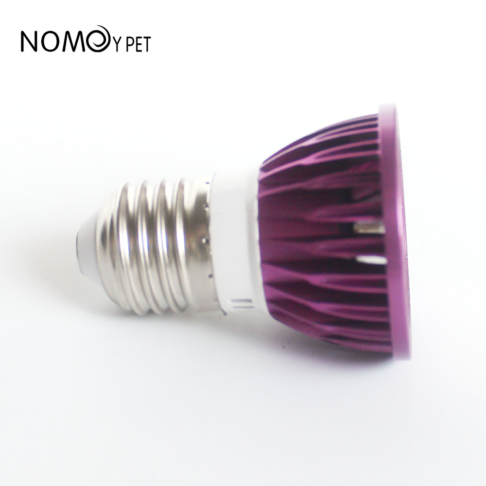 NOMOY Moonlight LED Night Ligh - Gecko Lighting & Decor บทวิจารณ์และราคา